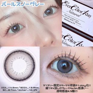 EverColor 1day Natural MoistLabelUV Pearl Snow Gray 20片裝 エバーカラーワンデーナチュラル パールスノーグレー